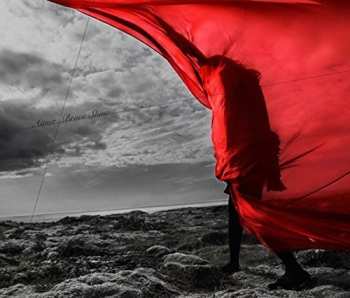 Album Aimer: Brave Shine