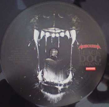 LP Airbourne: Black Dog Barking