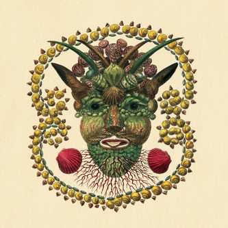 2LP Akron/Family: Akron/Family