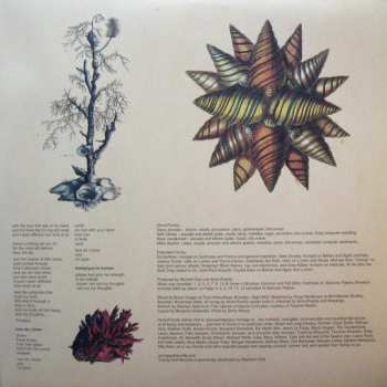 2LP Akron/Family: Akron/Family