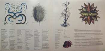 2LP Akron/Family: Akron/Family