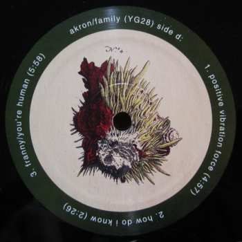 2LP Akron/Family: Akron/Family