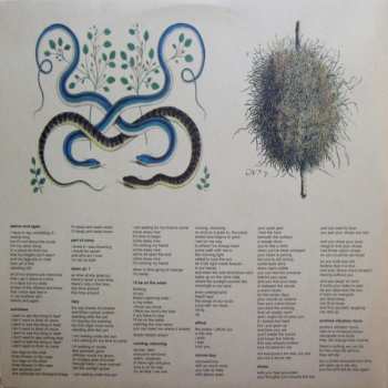 2LP Akron/Family: Akron/Family