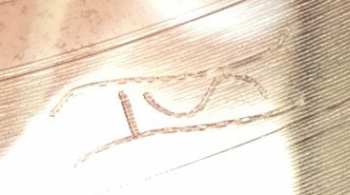 2LP Alabama Shakes: Sound & Color CLR