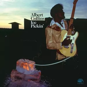 Albert Collins: Ice Pickin'