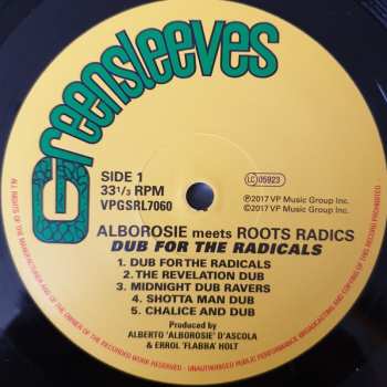 LP The Roots Radics: Dub For The Radicals