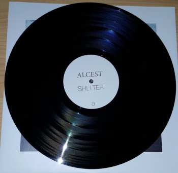 LP Alcest: Shelter