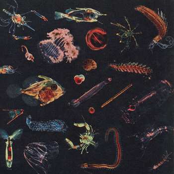 CD Alessandro Fiori: Plancton