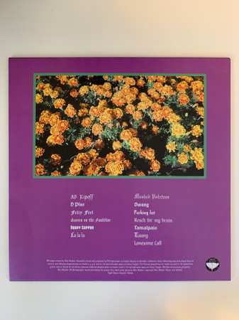 LP Alex Bleeker: Heaven on the Faultline