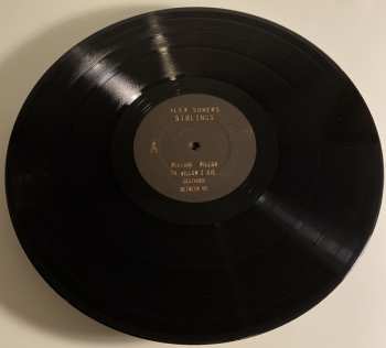 2LP Alex Somers: Siblings