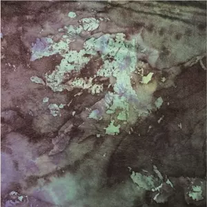 Alien Mustangs: Shadows / Hypnic Trip