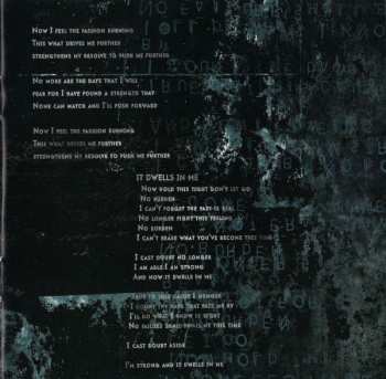 CD All That Remains: The Fall Of Ideals