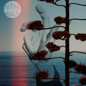 Alpha Whale: Alpha Whale