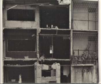 2CD Alvarius B.: Alvarius B