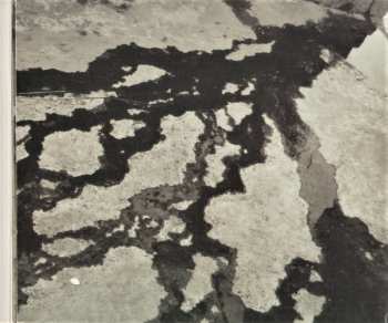 2CD Alvarius B.: Alvarius B