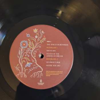 LP Amanda Rheaume: The Spaces In Between