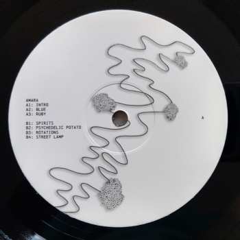LP Amara: Amara
