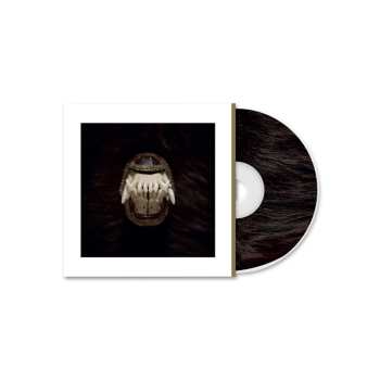 CD Amenra: De Toorn