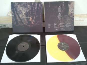 LP American Heritage: Sedentary