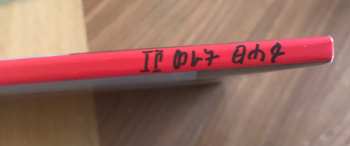 2LP Aminé: 13 Months Of Sunshine