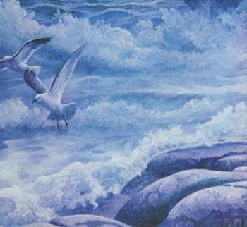 CD Amorphis: Magic & Mayhem - Tales From The Early Years LTD | DIGI