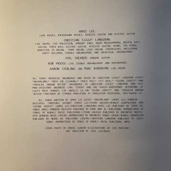 LP Amos Lee: Dreamland