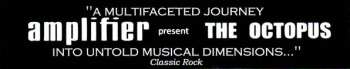 2CD Amplifier: The Octopus LTD