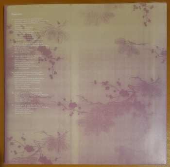 2LP Amy Macdonald: A Curious Thing CLR | DLX | LTD