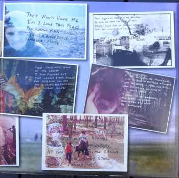 LP Amy Ray: If It All Goes South