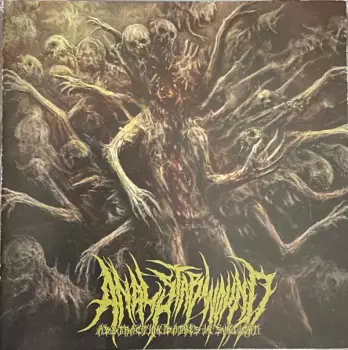Anal Stabwound: Abstraction Bathes In Sunlight