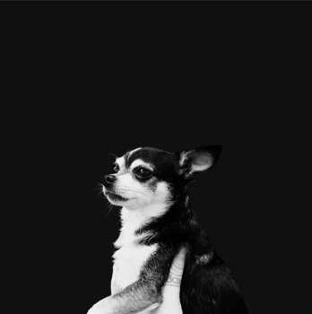 Album And The Kids: When This Life is Over