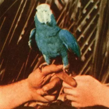 Andrew Bird: Are You Serious