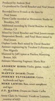 2LP/CD Andrew Bird: Break It Yourself