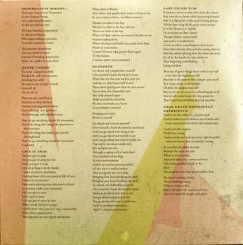 2LP/CD Andrew Bird: Break It Yourself