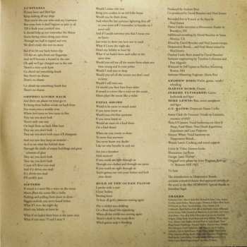 2LP/CD Andrew Bird: Break It Yourself