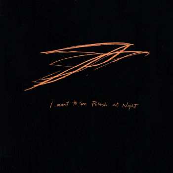 Album Andrew Bird: I Want To See Pulaski At Night