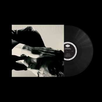 LP Andrew Bird: Inside Problems