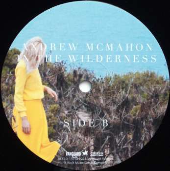 LP Andrew McMahon In The Wilderness: Andrew McMahon In The Wilderness