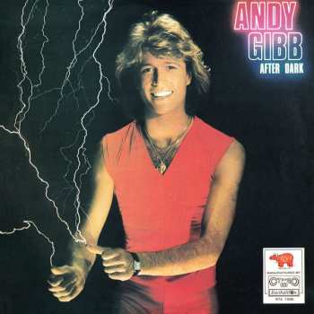 LP Andy Gibb: After Dark