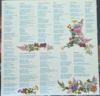 LP Andy Golledge: Young, Dumb & Wild CLR