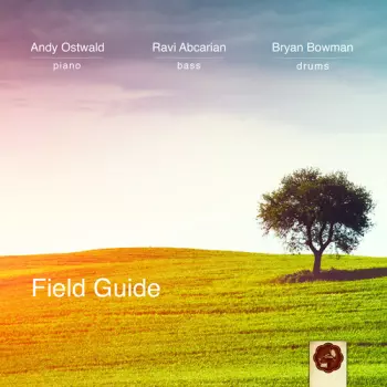 Andy Ostwald: Field Guide