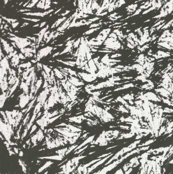 CD Andy Shauf: The Bearer Of Bad News