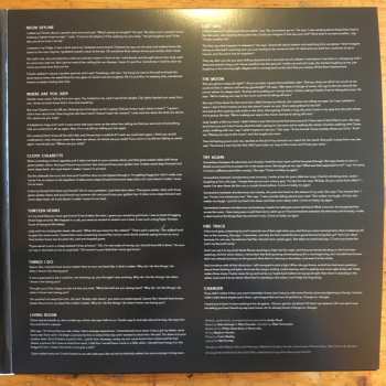 LP Andy Shauf: The Neon Skyline