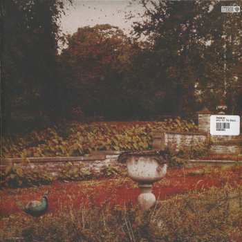 LP Anekdoten: Until All The Ghosts Are Gone