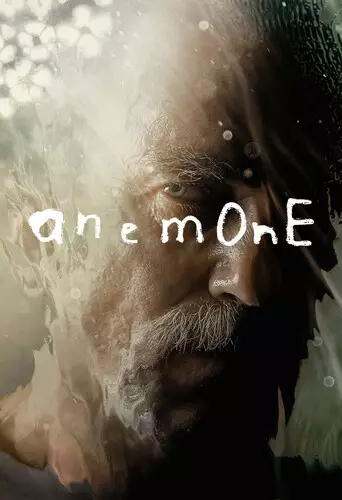 Anemone: Anemone