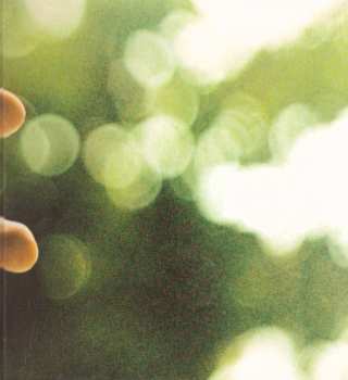 CD Ani DiFranco: Knuckle Down