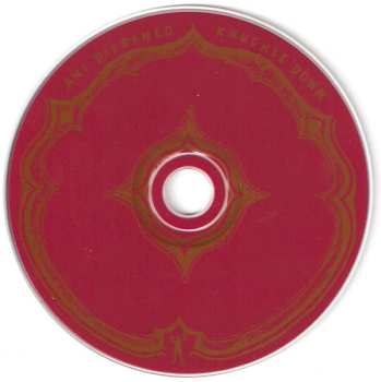 CD Ani DiFranco: Knuckle Down