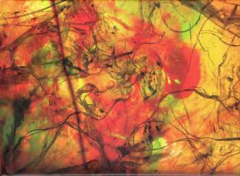 DVD Animal Collective: ODDSAC: A Visual Album