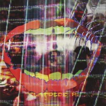 CD Animal Collective: Centipede Hz DIGI