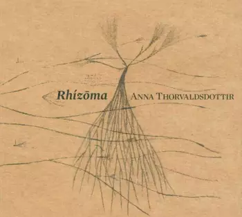 Rhízōma